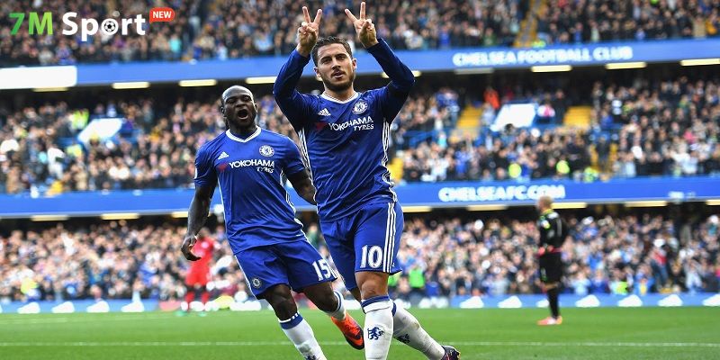 Cập nhật chính sách miễn trừ trách nhiệm