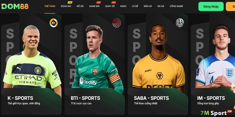 Nhà cái DOM88 - Sân chơi cá cược trực tuyến hàng đầu Châu Á