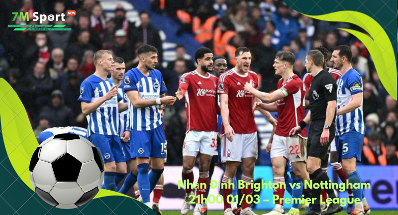 Đội hình dự kiến trước trận Brighton vs Nottingham